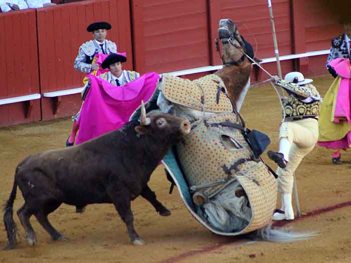 Picador descabalgado.