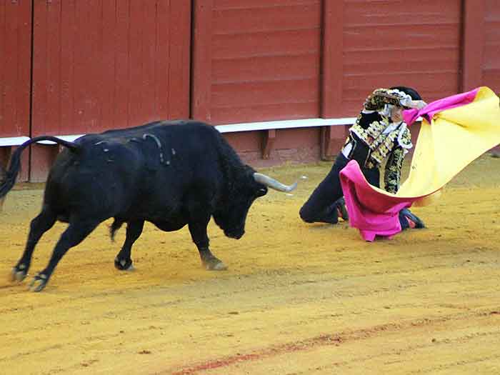 Garrido, de rodillas.