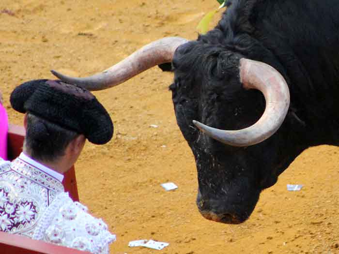 Leña por delante,