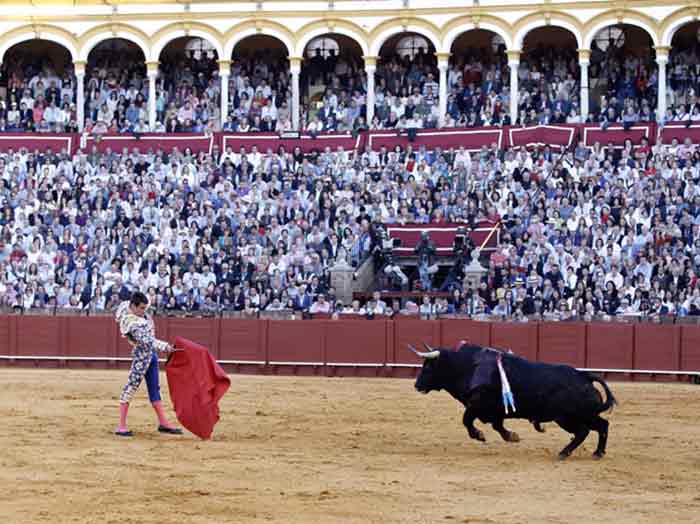 José Mª Manzanares.