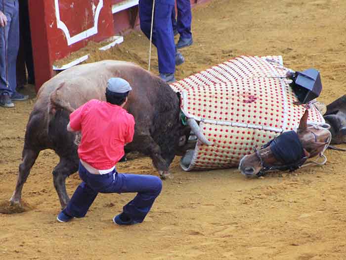 Un valiente a cuerpo limpio.