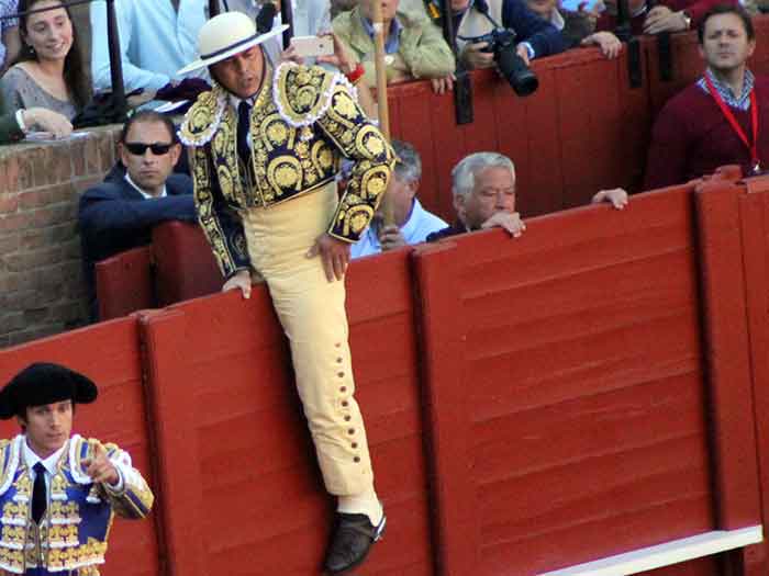 Cabalgando sobre las tablas.