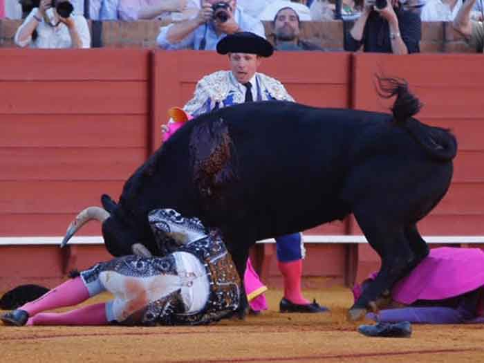 Voltereta a banderillero.