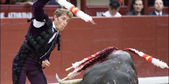 Manuel Escribano, esta tarde en Madrid. (FOTO: las-ventas.com)