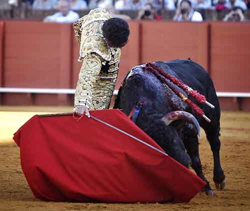 Diego Fernández.