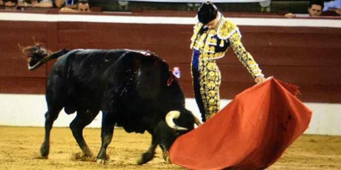 El sevillano Pablo Aguado, hoy en Mont de Marsan.