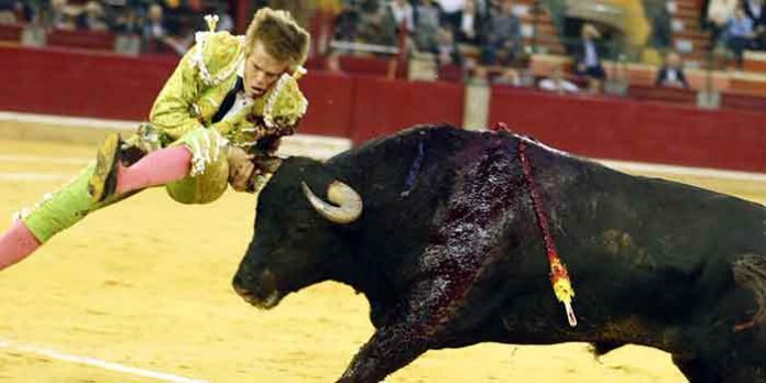 Javier Jiménez, en el momento de ser corneado hoy en Zaragoza.