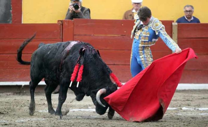 Buen natural del sevillano Rafa Serna en Tlaxcala (México).