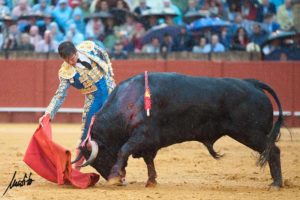 El Juli en el quinto.