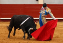 Normalidad en la apertura de la venta de nuevos abonos