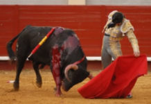 El joven novillero sevillano Antonio David, doble premio en Rincón de Soto