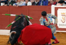 Agustín de Espartinas: «Sin Sevilla la temporada se vuelve a poner muy cuesta arriba»