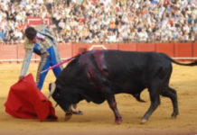 El Cid y Diego Ventura, sevillanos premiados por la Junta de Andalucía en Huelva
