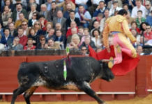 BALANCE de la jornada: Tomás Campuzano, ovacionado en el festival de Ciudad Rodrigo