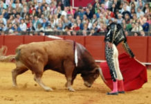 Ángel Jiménez: «No se me puede escapar la final del Zapato de Plata»