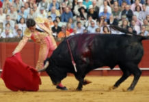 BALANCE de la jornada: el sevillano Antonio Barrera indulta un toro en Autlán de la Grana