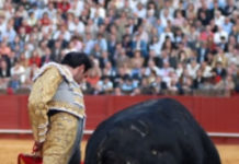 Respaldo a la continuidad de la Feria Mundial del Toro de Sevilla