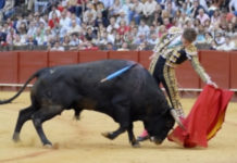 Nuevo acto de la Cátedra ‘Sánchez Mejías’ de la Universidad de Sevilla