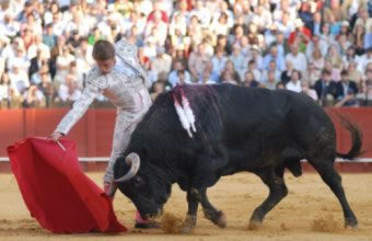 BALANCE de la jornada: Escribano corta una oreja en la plaza venezolana de Valencia