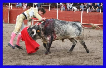El sevillano Manuel Fernández, premio ‘Mejor estocada’ de Moralzarzal