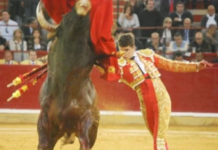 Luque lidiará en su encerrona de Madrid toros de Juan Pedro, Cuvillo y Puerto de San Lorenzo