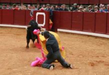 Quien tuvo, retuvo A sus casi 70 años, Espartaco padre parece un auténtico novillero. (FOTO: Álvaro Pastor)
