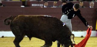 Daniel Luque ha reaparecido tras la cornada. (FOTO: Archivo/burladero.com)