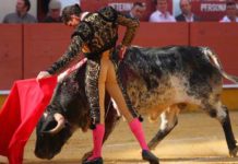 Daniel Luque y El Cid, a hombros Excelente y pausado muletazo de Luque esta tarde en Cabra. (FOTO: Antonio Manuel Luque-burladero.com)