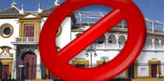 La Maestranza, 'prohibida' para SEVILLA TAURINA.