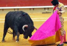 BALANCE de la jornada: Morante, discreto en su regreso a Castellón Morante en una excelente verónica hoy en Castellón. (FOTO: Antonio Casado-burladero.com)