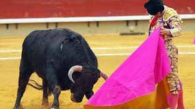 Morante en una excelente verónica hoy en Castellón. (FOTO: Antonio Casado-burladero.com)