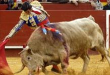 BALANCE de la jornada: Morante, lo más destacado en Valencia Un derechazo de Morante esta tarde en Valencia. (FOTO: Manolo Moreno - burladero.com)
