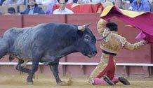 Rafaelillo, valor y entrega