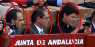 El marido de la delegada de la Junta, Carmen Tovar, el primo y hasta el cura de su pueblo de Castilleja, gratis a los toros en el burladero oficial de la Junta de Andalucía. (FOTO: Javier Martínez)