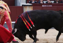 Ventura y Morante destacan en Málaga y Sevilla Un muletazo de Luque esta tarde en Las Ventas. (FOTO: burladero.com)