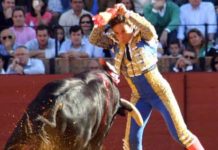Daniel Luque, una oreja en Yecla (Murcia) El extremeño Paco Chaves clava un par en el primero en Sevilla. (FOTO: Javier Martínez).