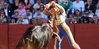 El extremeño Paco Chaves clava un par en el primero en Sevilla. (FOTO: Javier Martínez).
