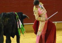 El sevillano Ángel Jiménez, oreja en Córdoba El novillero sevillano Ángel Jiménez, en imagen de archivo. (FOTO: Javier Martínez)