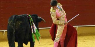 El novillero sevillano Ángel Jiménez, en imagen de archivo. (FOTO: Javier Martínez)