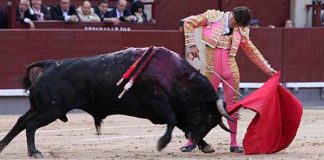 Corpas en un estético muletazo en su primero. (FOTO: Iván de Andrés / burladero.com)