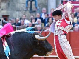 Curro Javier. (FOTO: Paco Díaz / toroimagen.com)