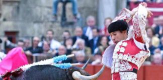 Curro Javier. (FOTO: Paco Díaz / toroimagen.com)