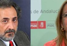 El Defensor del Pueblo Andaluz, José Chamizo, ha tenido que pedir explicaciones de nuevo a la controvertida delegada de la Junta en Sevilla, Carmen Tovar.
