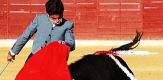 Miguel Falcón en un pase de pecho en su debut en Santisteban. (FOTO: Sevilla Taurina)