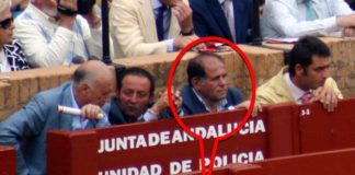 Manuel Salguero Villadiego, médico, vecino de Castilleja, amigo personal de la delegada Carmen Tovar y hermano del presidente de la plaza, Julián Salguero. (FOTO: Javier Martínez)