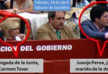 El jefe del marido de la delegada Carmen Tovar, gratis a los toros en el burladero ‘oficial’ de la Junta Juanje Perea, jefe del marido de la delegada Carme Tovar, en el burladero oficial de la Junta, muy cerca de la propia Carmen Tovar. (FOTO: Javier Martínez)