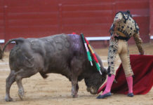 Apoteósica faena de Morante en Jerez Morante toreando al buen toro de Cuvillo esta tarde en Jerez. (FOTO: desdelcalleon.com)