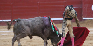 Morante toreando al buen toro de Cuvillo esta tarde en Jerez. (FOTO: desdelcalleon.com)