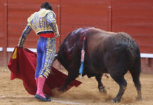 Morante, oreja en Jerez Morante ha cortado una oreja a este toro hoy en Jerez. (FOTO: desdelcallejon.com)