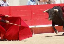 La silla ‘versallesca’ de Morante en Nimes Morante citando al toro sentado en una silla. (FOTO: Golfredo Rojas / burladero.com)
